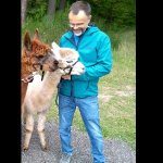 Harry sucht Freunde in Scheßlitz