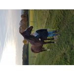 Ilka sucht Freunde in Westerngrund