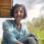 Linde sucht Freunde in Offenburg