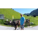 Andreas sucht Freunde in Uslar