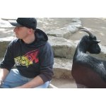 Stuart sucht Freunde in Görlitz